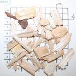 Das Ausgangsmaterial Holz ... Alle Fotos: DBFZ