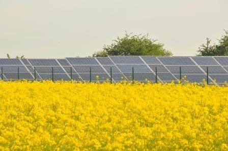 urbansky_raps_solar_ral1064
