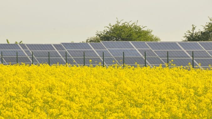 Rapsfeld und Solarpark - in Leipzig - 2012 Foto: Urbansky