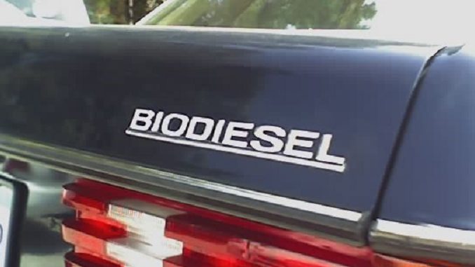 Biodiesel_3 Foto: Mejidori / Wikimedia Biokraftstoff, Biodiesel, Bioethanol, HVO,