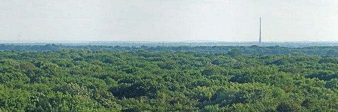 Fockeberg_Auwald Wird wohl nie einen Frackingturm sehen - der Leipziger Auwald. Foto Martin Geisler / Wikimedia / Lizenz unter CC BY-SA 3.0