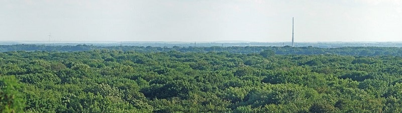 Wird wohl nie einen Frackingturm sehen - der Leipziger Auwald. Foto Martin Geisler / Wikimedia / Lizenz unter CC BY-SA 3.0