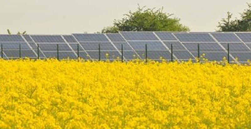 PV-Anlage. Foto: Urbansky