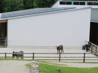Bunter Kreis Augsburg, PV-Anlage