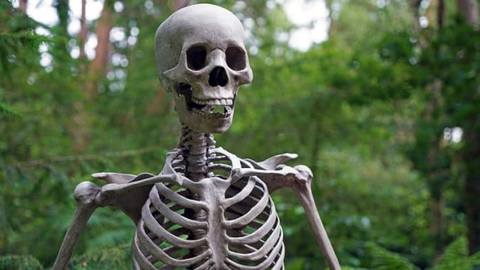 skeleton-1522620_1920 Foto: crjsmit / pixabay BMUB Klimaschutzplan Verbände Lobbyismus