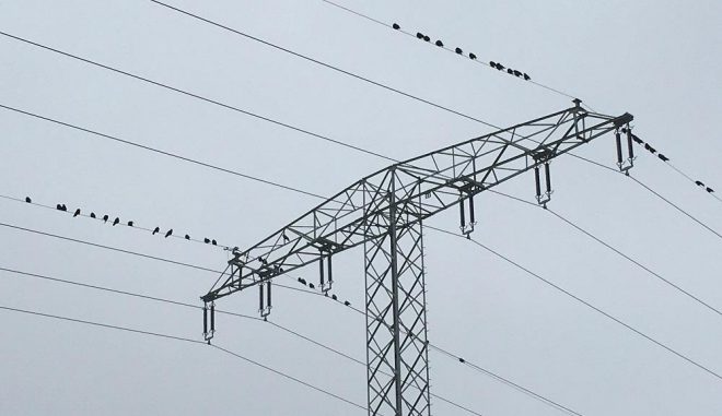 4by3 Übertragungsnetze sollen bei den geplanten Trassen Suedlink und Suedostlink zumeist als Erdkabel verlegt werden. Das vervielfacht die Baukosten. Foto: UrbanskyÜbertragungsnetze sollen bei den geplanten Trassen Suedlink und Suedostlink zumeist als Erdkabel verlegt werden. Das vervielfacht die Baukosten. Foto: Urbansky