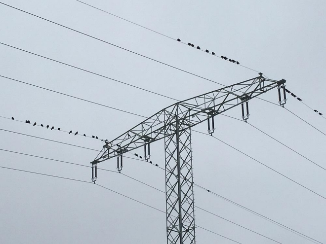 Übertragungsnetze sollen bei den geplanten Trassen Suedlink und Suedostlink zumeist als Erdkabel verlegt werden. Das vervielfacht die Baukosten. Foto: UrbanskyÜbertragungsnetze sollen bei den geplanten Trassen Suedlink und Suedostlink zumeist als Erdkabel verlegt werden. Das vervielfacht die Baukosten. Foto: Urbansky