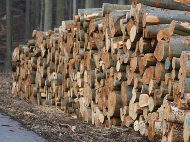 Ist und bleibt der bestimmende Brennstoff für Biomasse im Wärmemarkt: Holz. Foto: Urbansky