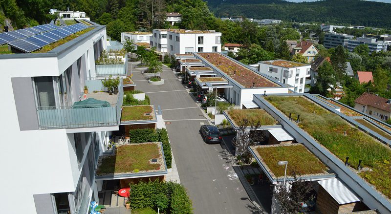 Extensivbegrünungen stellen wenig Anspruch an die Pflege und nutzen niedrigwachsende und sich selbst erhaltende Pflanzen. Foto: Gunter Mann/FBB