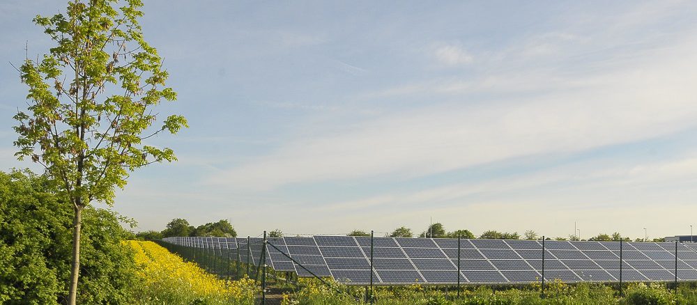 Für viele PV-Anlagen der ersten Stunde läuft ab 2021 die EEG-Förderung aus. Betreiber müssen sich schon 2019 überlegen, wie sie mit den Anlagen verfahren: verschrotten, weiterbetreiben, direktvermarkten oder selbst nutzen. Foto: Urbansky