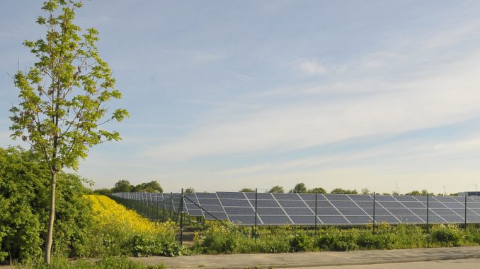 Rapsfeld und Solarpark - in Leipzig - 2012 Für viele PV-Anlagen der ersten Stunde läuft ab 2021 die EEG-Förderung aus. Betreiber müssen sich schon 2019 überlegen, wie sie mit den Anlagen verfahren: verschrotten, weiterbetreiben, direktvermarkten oder selbst nutzen. Foto: Urbansky