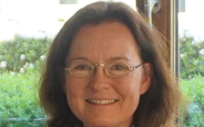 „GEG ist eine komplette Verbesserung“