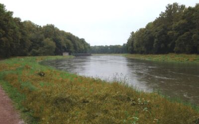 Nationale Wasser­stra­tegie gegen Wassermangel
