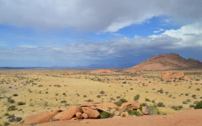 West­afrika: Wasserstoff-​Powerhouse mit drei&nbsp;Haken