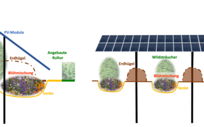 Bodenerosion mit Solaranlagen verhindern