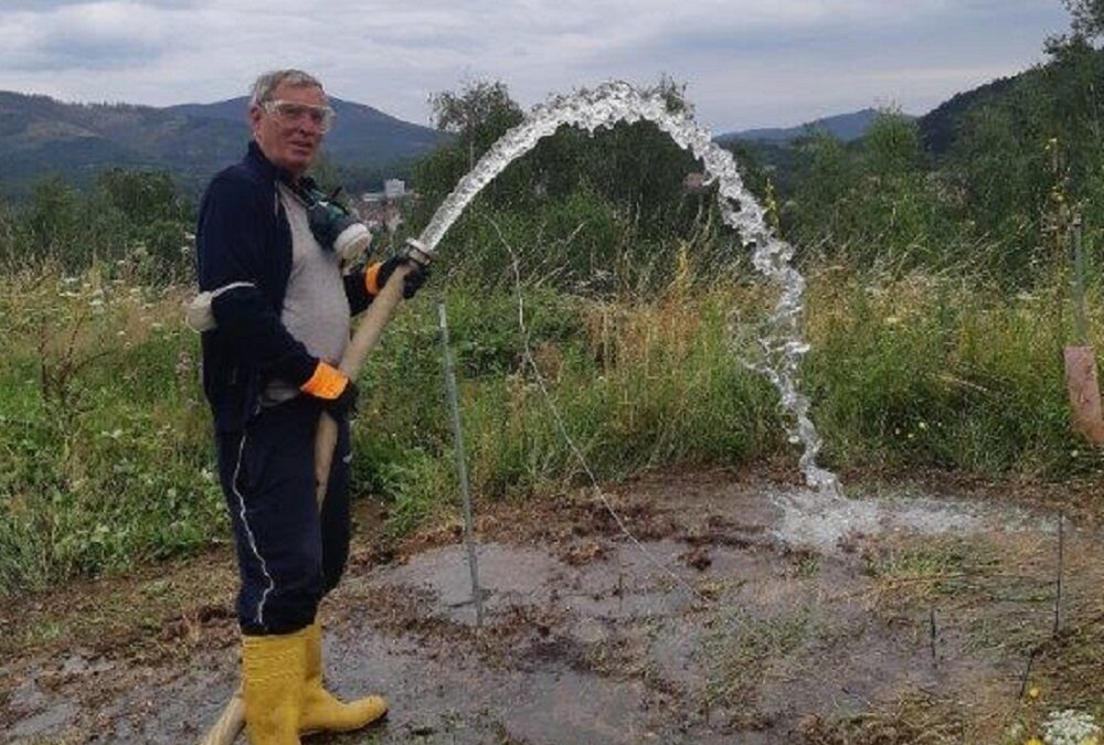 Plastikmüll mit Bakterien abbauen