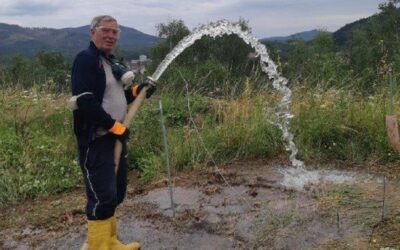 Plas­tikmüll mit Bakterien abbauen