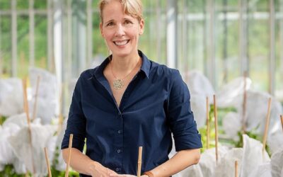 Stero­id­hormone können Pflanzen gegen Stress helfen