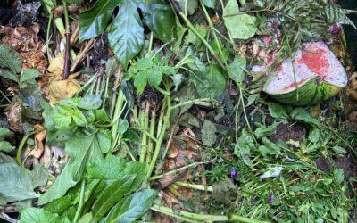 Bioab­fälle regional erfassen und effi­zi­enter verwerten