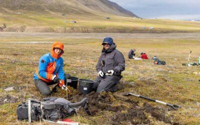 Warum die Arktis immer grüner wird