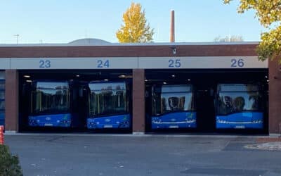 Die große Rolle kleiner Unter­nehmen bei der Klimafrage