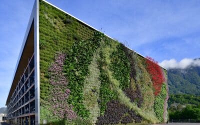 Begrünung kann Städte deutlich kühler machen