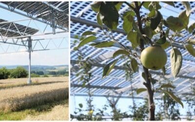 Agri-​PV für weniger ertrag­reiche Flächen interessant