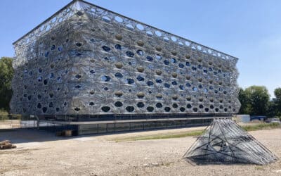 Von Termiten, grünem Beton &&nbsp;Häusern gewickelt und getoastet