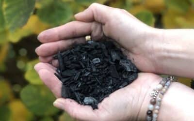 Biochar reduziert Risiken bei DDT-​belastetem Boden