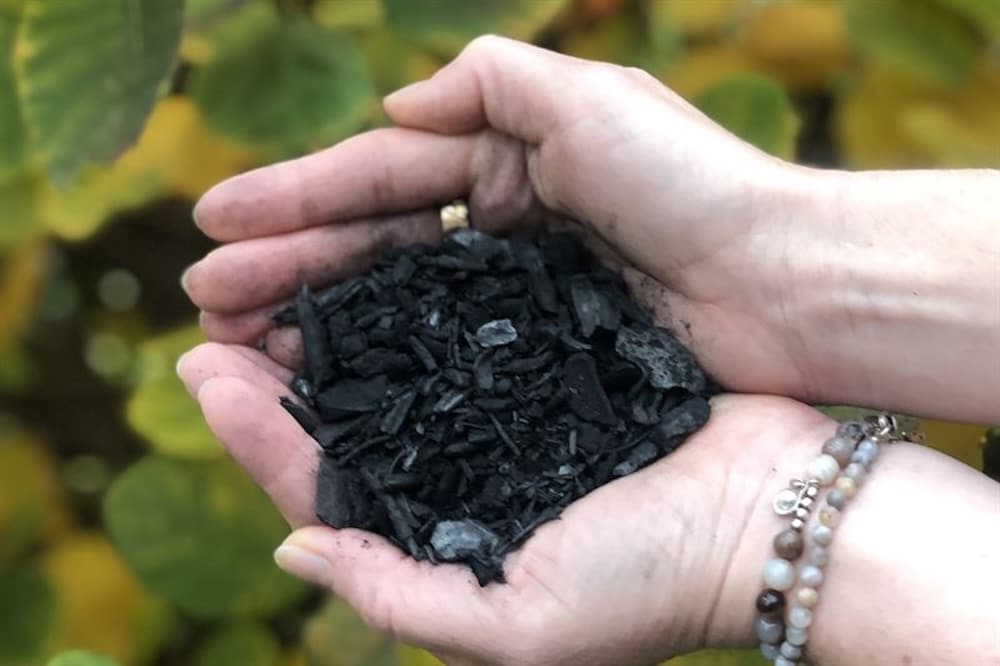 Biochar reduziert Risiken bei DDT-​belastetem Boden