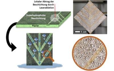 Laser steigert Wasse­r­ertrag von Nebelkollektoren