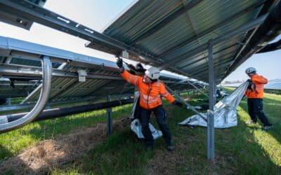 Ein Baustein für grüne Fernwärme – Großflächige Solarthermie