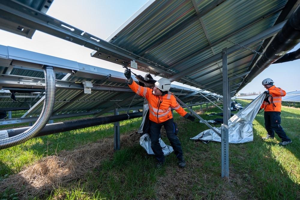 Ein Baustein für grüne Fernwärme – Groß­flä­chige Solarthermie