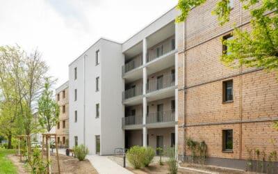 Der große Schwamm fürs Wohnquartier