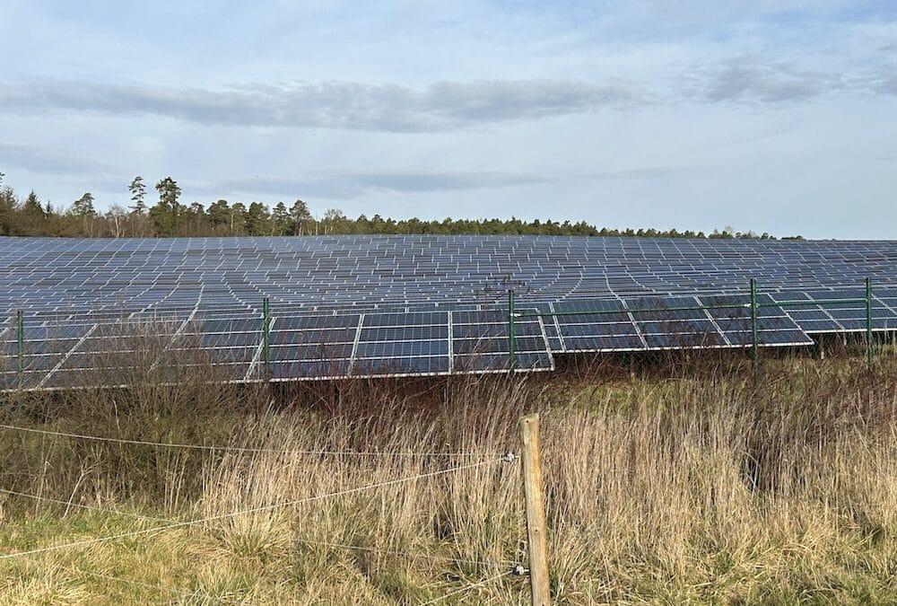 Großes Potenzial für Solarparks als Weideland