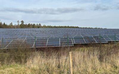 Großes Potenzial für Solarparks als Weideland